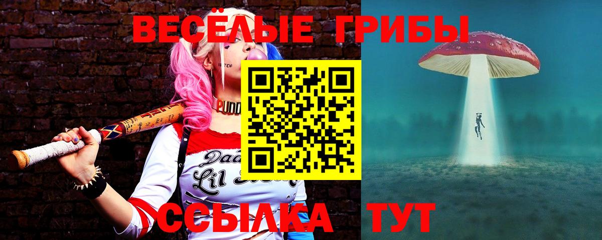 Галлюциногенные грибы Cubensis  Вход с VPN  Галлюциногенные грибы Cubensis  Сосновоборск 
